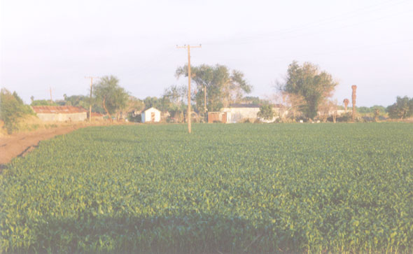 A field along Charles Green Road southwest of Delta Lake.