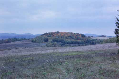 Remaining buildings from an old farm can be seen in the foreground of a wooded hill off of New Canada Road.