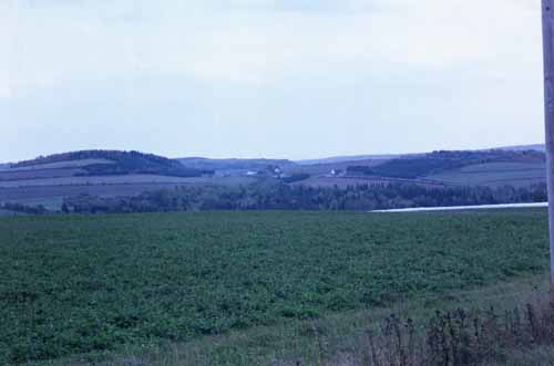 Farmland off of New Canada Road.