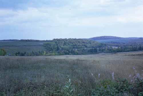 Agricultural land, as well as some wooded hills, off of Strip Road.