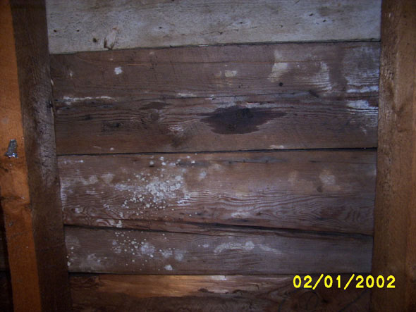 A small wet spot can be seen over on the northwest side of the attic, as well.