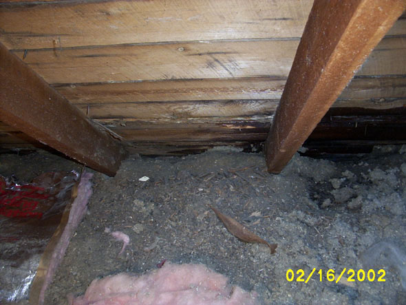 The wetting of the wood is restricted to one small area, fortunately.