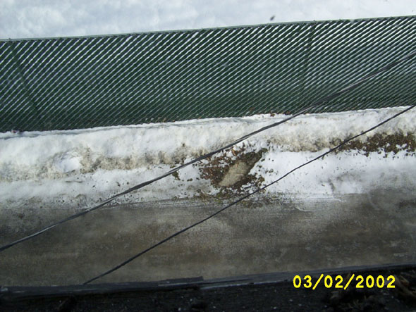 Just a few pictures of the driveway from the north attic window.