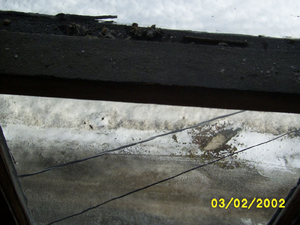 Just a few pictures of the driveway from the north attic window.