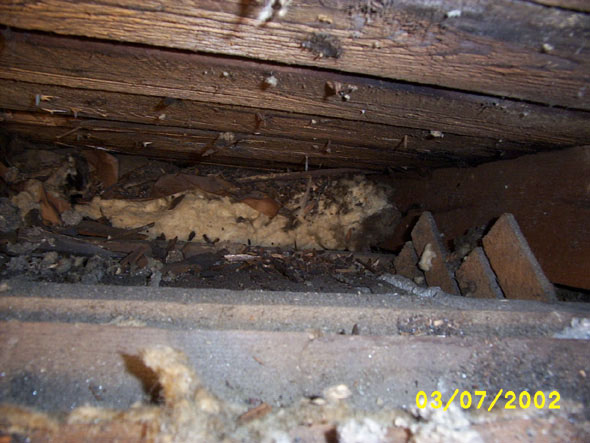 While most of the eaves are clear of debris, there are a lot of woodchips and bark in this one. 