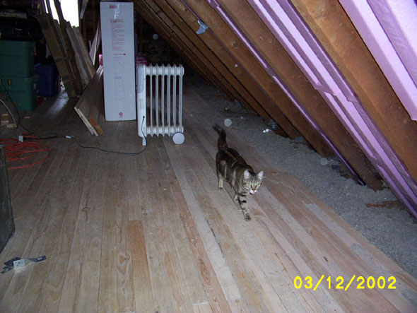 If Obie's going to give me moral support, the least I can do is take her picture.