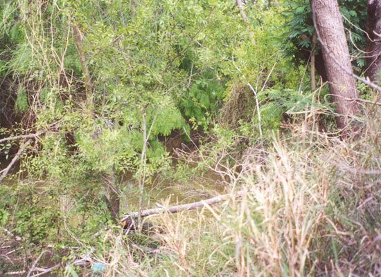 To the right and below, are photographs of a canal that crosses FM-493 south of M 22 1/2-N, between La Blanca and Hargill.