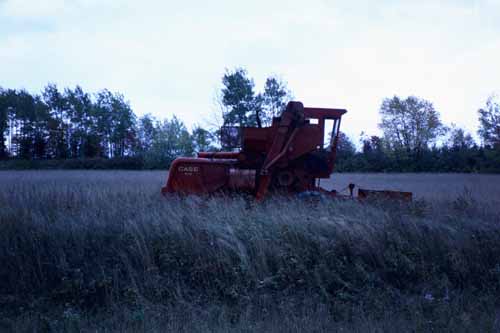 A Case 600 sits in a field west of the Deprey Farm on New Canada Road.