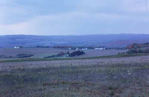 A couple of farms can be seen from New Canada Road.