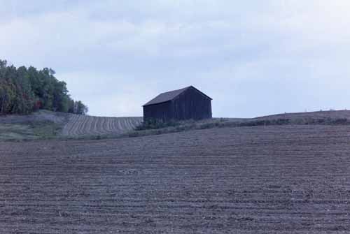 An old farm building sits in a potato field off of New Canada Road.