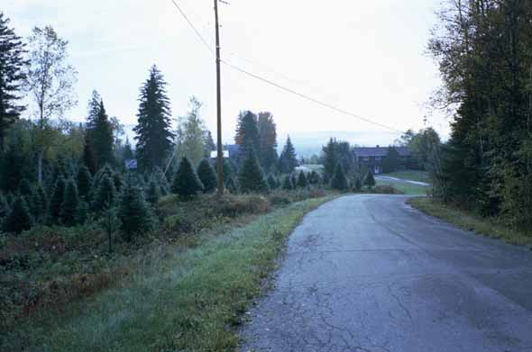 Pond View Road, looking east toward Soldier Pond.