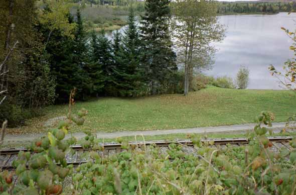 A view of the pond from Pond View Road.