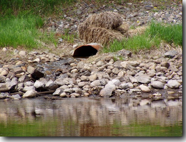 Another view of the storm drain entering the stream from an area adjacent to the mill offices.
