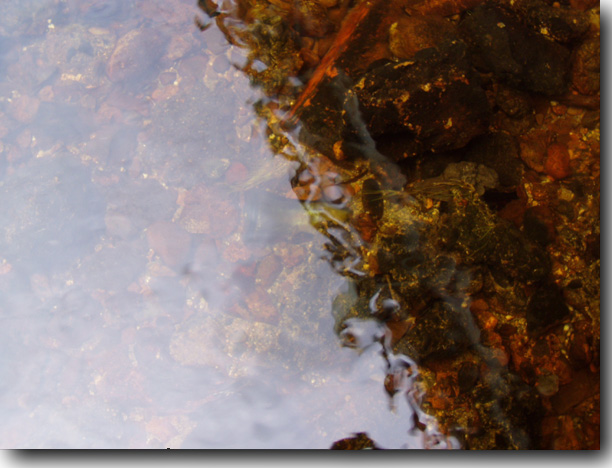 Almost across the stream.