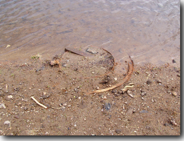 Red earth and rusted metal.
