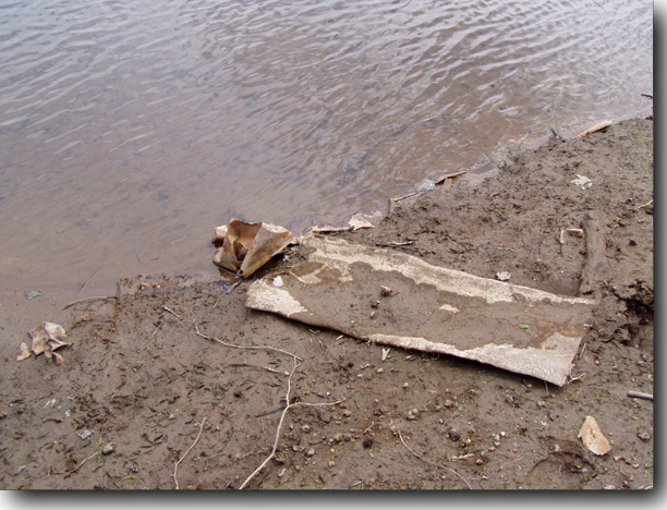 The water is nasty, the muck is discolored, and the ground is littered with debris.