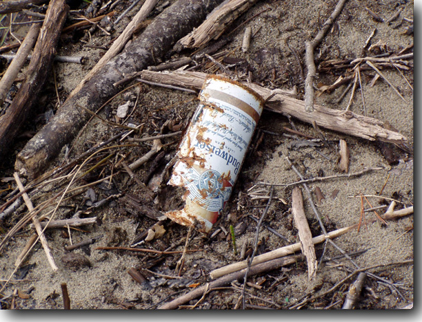 Just an old Budweiser can.