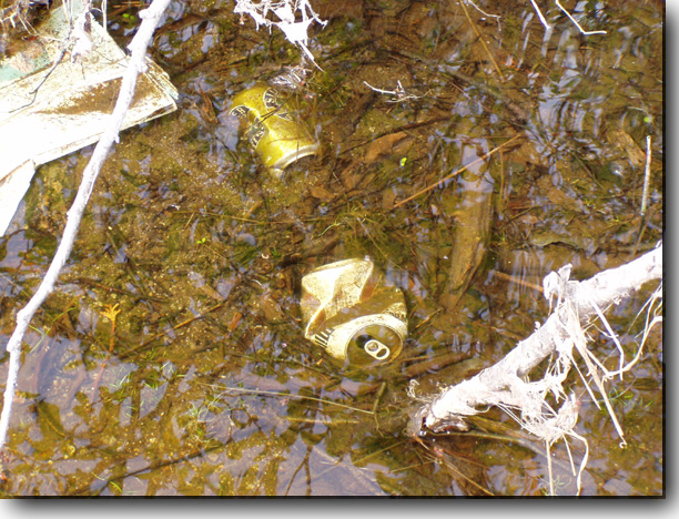 A couple of beverage containers and some other debris.