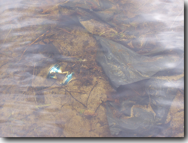 A large piece of plastic and a soft drink can.