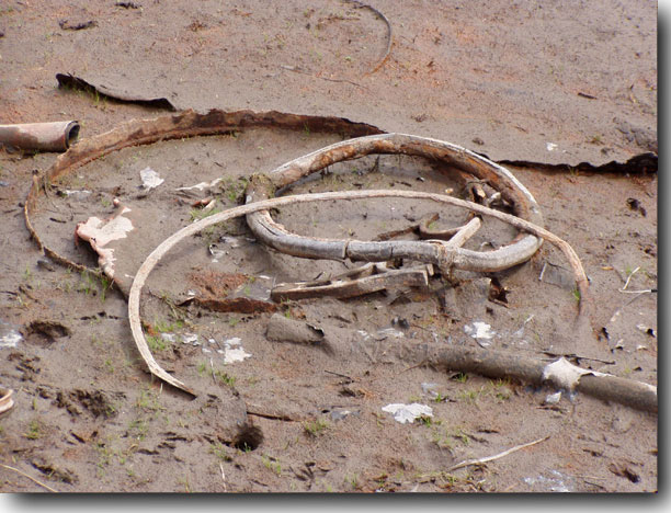 Metal debris
