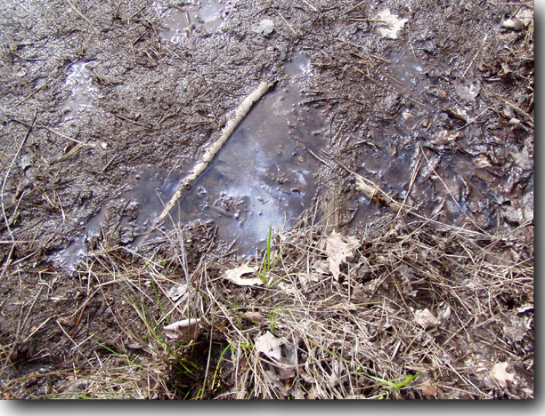 Oily muck.