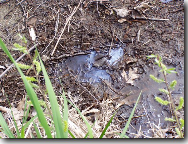 A bright blue oily substance soaked into the muck.