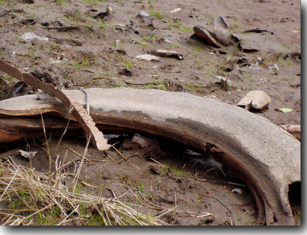 A tire lies partly submerged in the reddish muck.