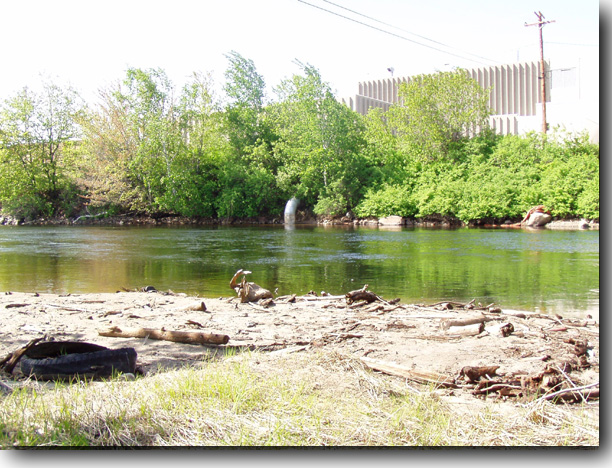 Showing both sides of the stream.