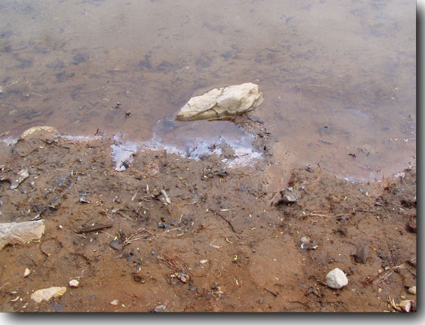 Oil and stained earth.