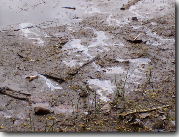 Just some more icky, oily muck.
