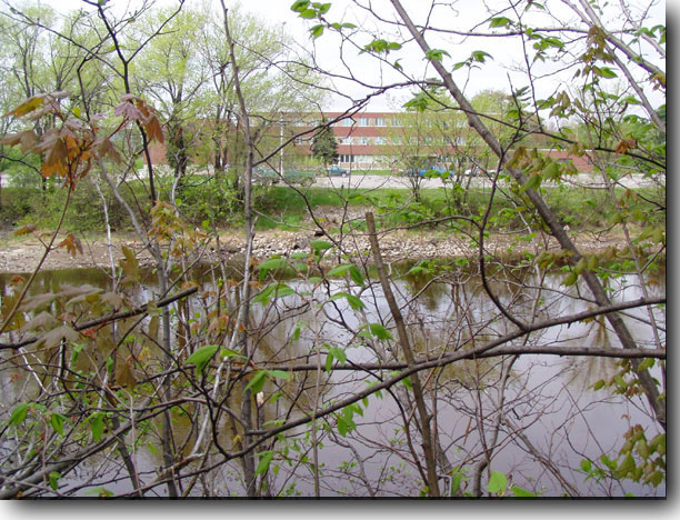 Millinocket Stream adjacent to the mill offices.