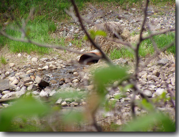 Storm drain leading from the mill into the stream.