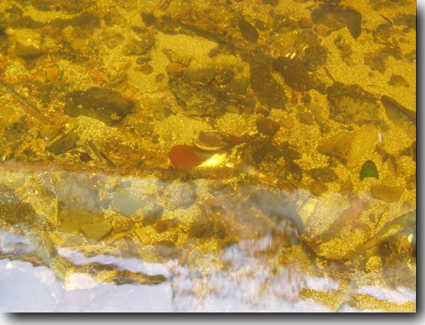 Glass and metal debris.